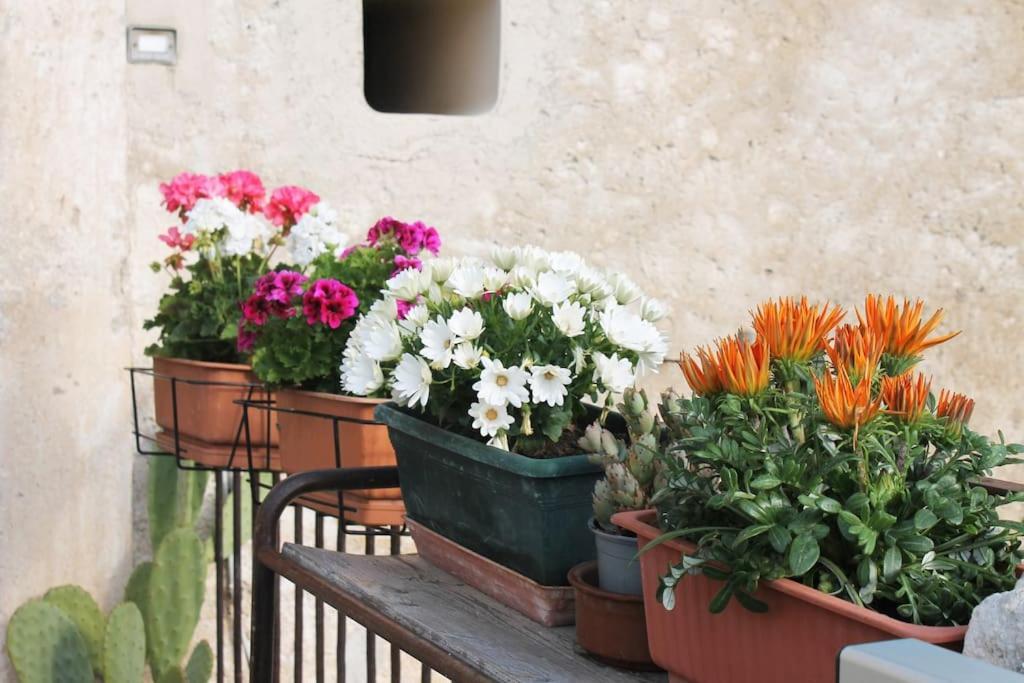 Casa Masseria Dell'800 Gargano. Le Mignole Монте-Сант'Анджело Екстер'єр фото