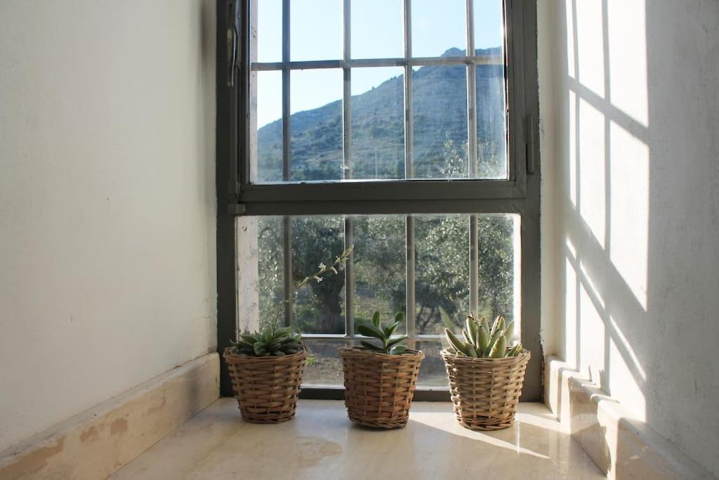 Casa Masseria Dell'800 Gargano. Le Mignole Монте-Сант'Анджело Екстер'єр фото
