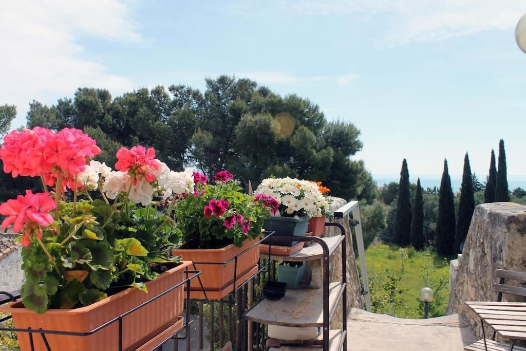 Casa Masseria Dell'800 Gargano. Le Mignole Монте-Сант'Анджело Екстер'єр фото